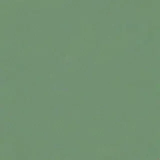 sage green wallpaper aesthetic
