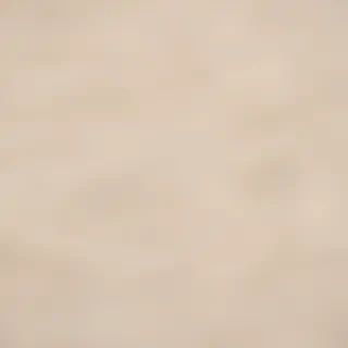 neutral computer background