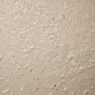 grain paper texture