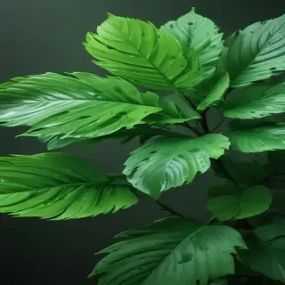 aesthetic wallpapers green