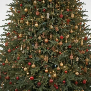 christmas tree no background