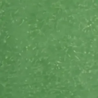 green background for iphone