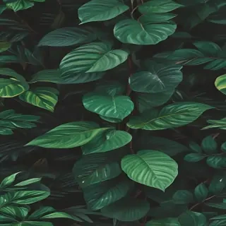 aesthetic plant wallpaper