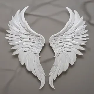 picture of angel wings