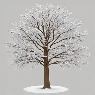winter tree png