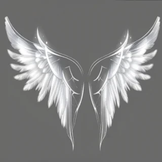 transparent angel wings