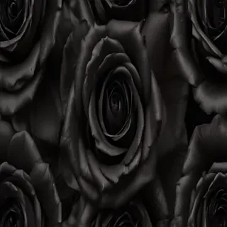 black roses png