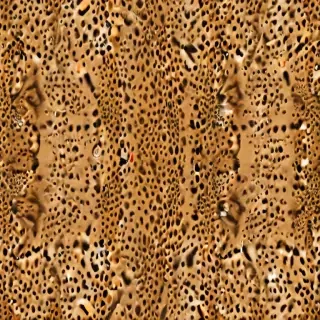 cheetah background
