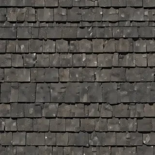 pictures of shingles