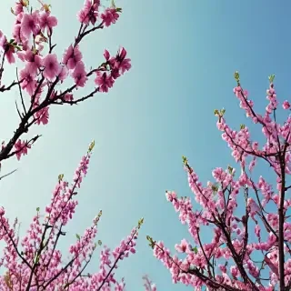 springtime iphone wallpaper