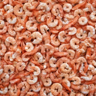 shrimp png