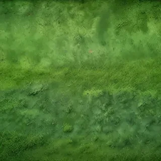green textures