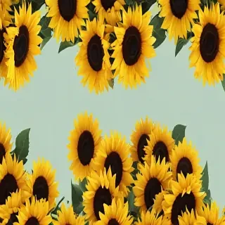 sunflower backgrounds aesthetic