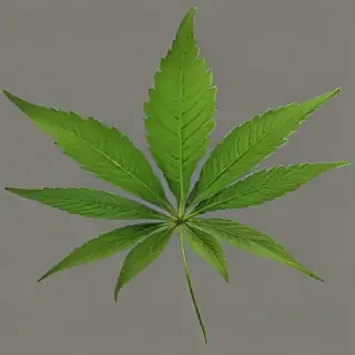 weed leaf png
