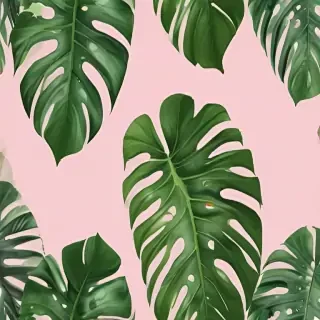 monstera png