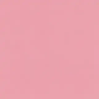 pink plain bg