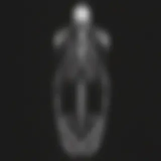 skeleton iphone wallpaper