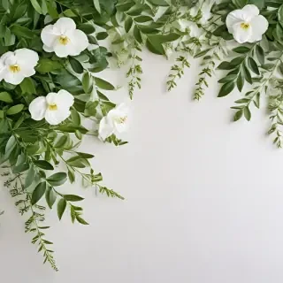 white and greenery background