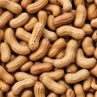 peanut png