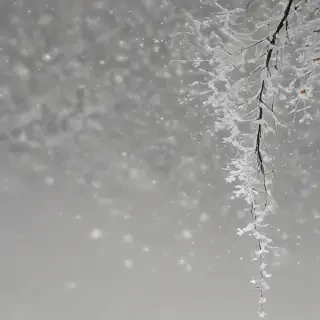snowing png