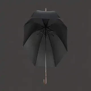 umbrella png