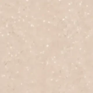 neutral aesthetic background