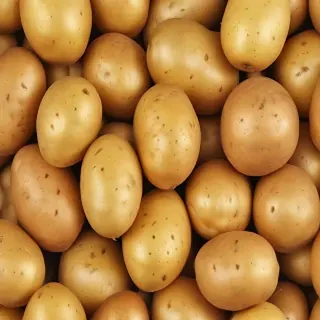 potato png