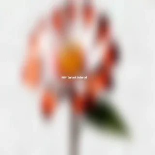 real flower png