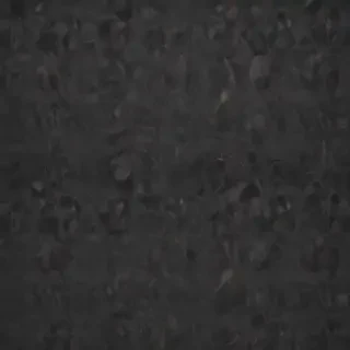 zoom backgrounds