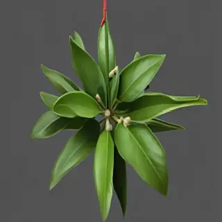 mistletoe png