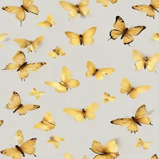 butter flies png