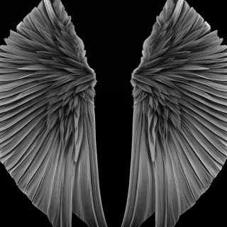 wings background