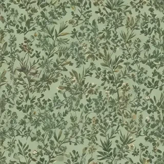 aesthetic sage green