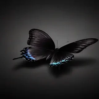 black butterfly wallpaper