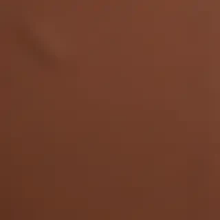 brown ig highlight cover