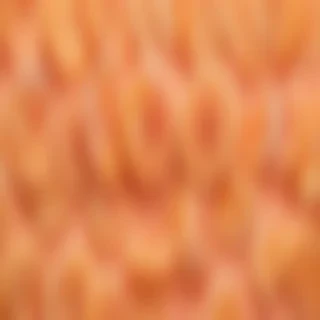 peach color bg