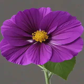 purple flower png