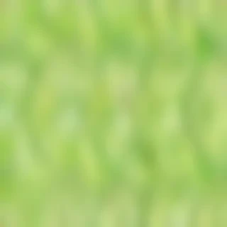 lime green background