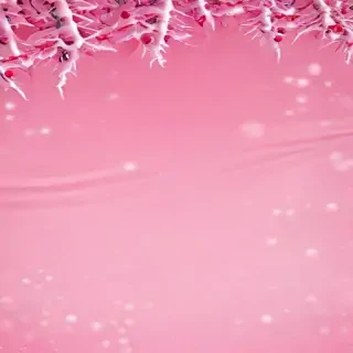 pink winter background