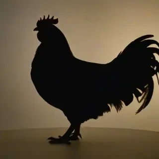 silhouette of a chicken