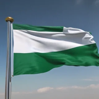 nigeria flag png
