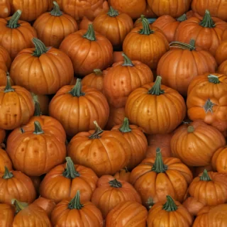 pumpkin png