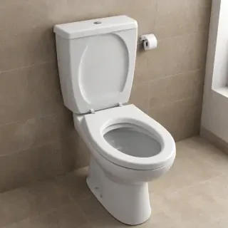 toilet png