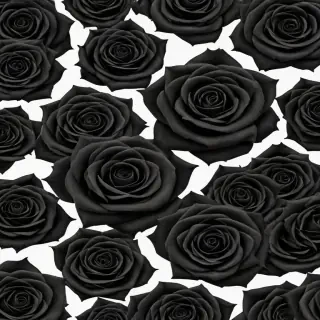 black roses background