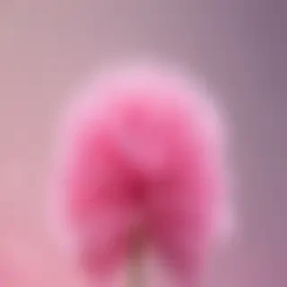 cute pink wallpapers