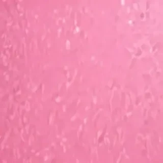 pink zoom background