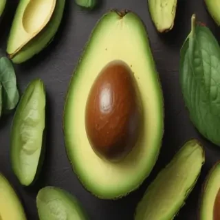 avocado drawing