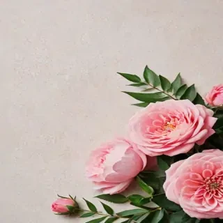 feminine background
