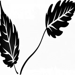 clipart leaf black and white
