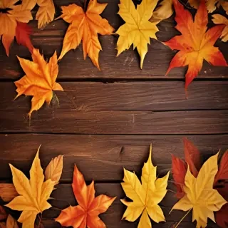fall wallpaper